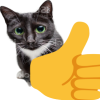 :thumbsupcat@not-brain.d.on-t.work: